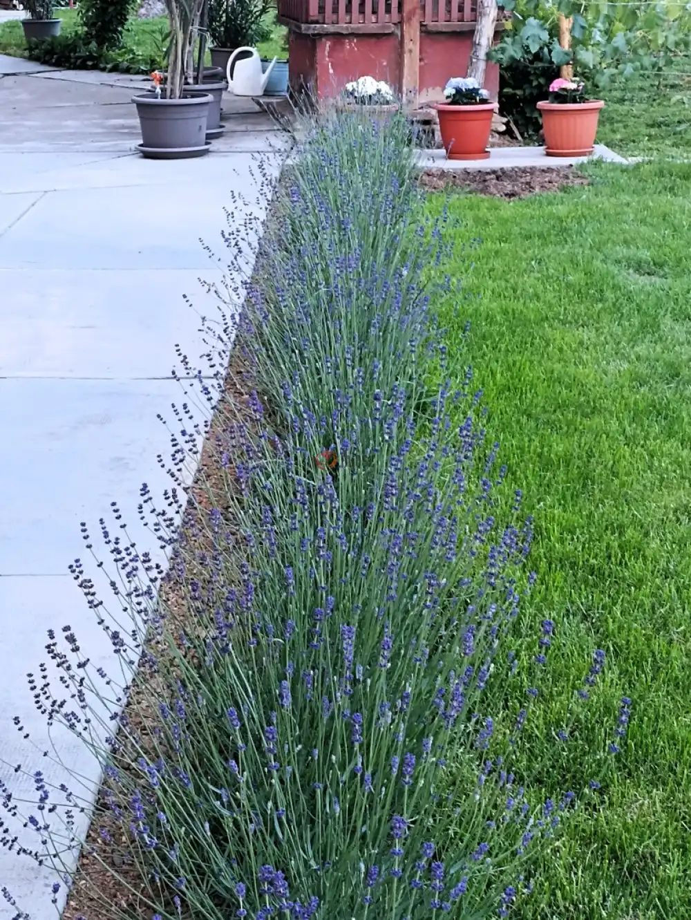 Baranya megye - Geresdlak