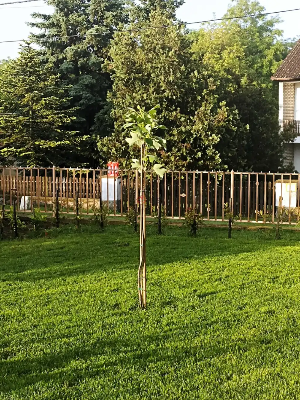 Baranya megye - Geresdlak