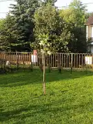 Baranya megye - Geresdlak