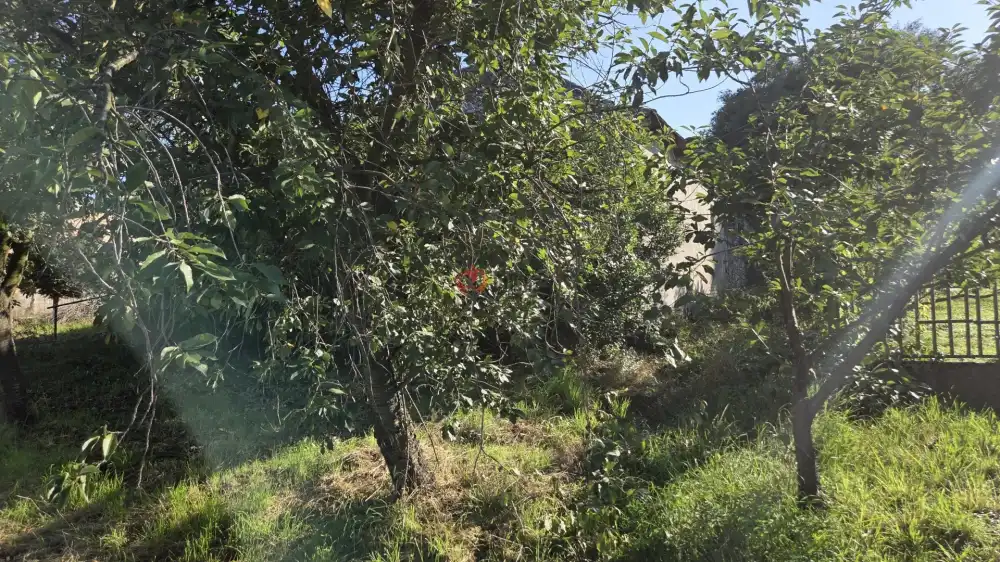 Borsod-Abaúj-Zemplén megye - Golop