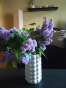 Győr-Moson-Sopron megye - Győr