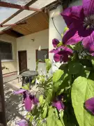 Győr-Moson-Sopron megye - Győrszentiván