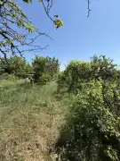Győr-Moson-Sopron megye - Győrszentiván