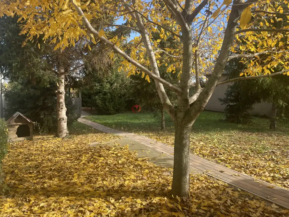 Békés megye - Gyula