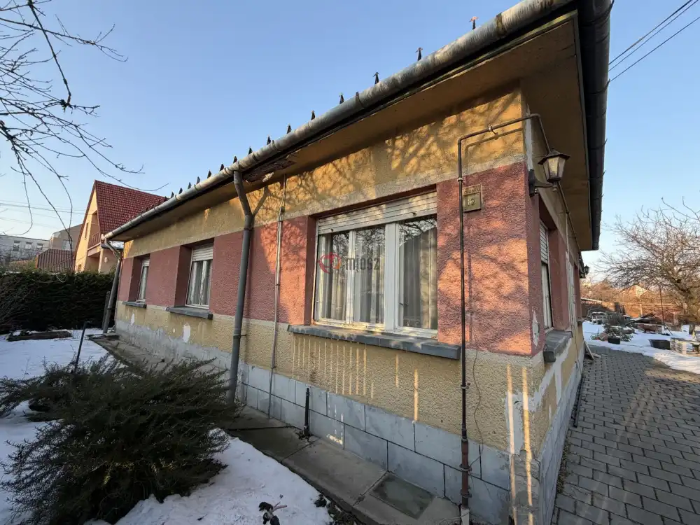 Pest megye - Halásztelek