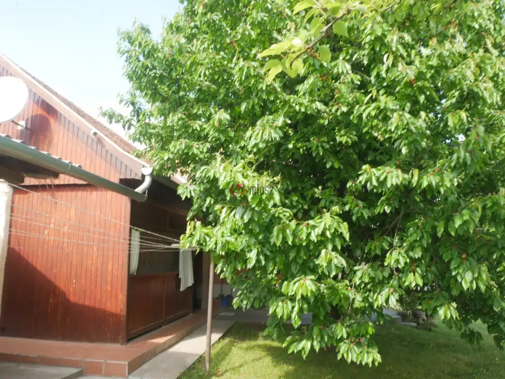 Pest megye - Káva