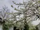 Zala megye - Keszthely