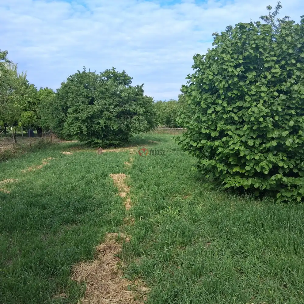 Békés megye - Kétsoprony