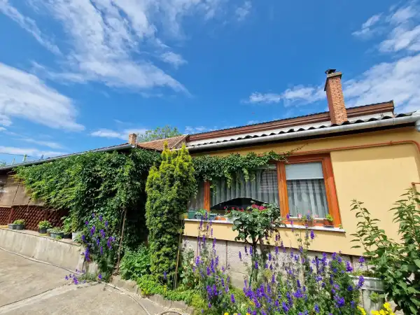 Eladó családi ház, Kiskőrös 3 szoba 200 m² 42.9 M Ft