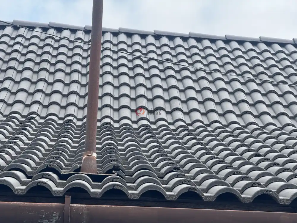 Bács-Kiskun megye - Kiskunfélegyháza