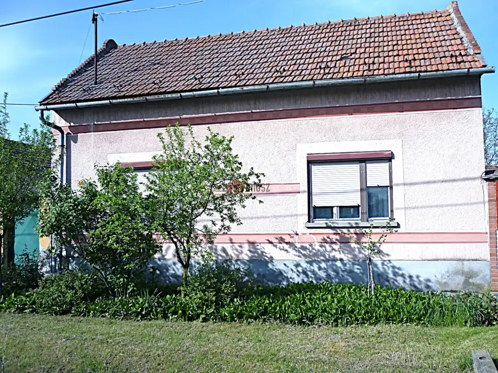 Csongrád megye - Kistelek
