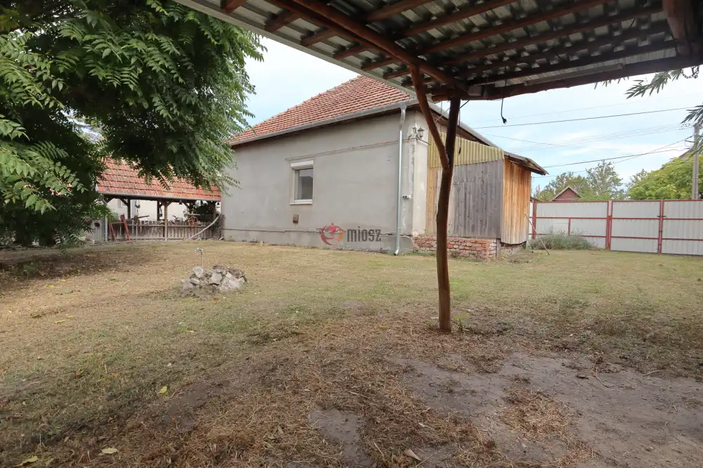 Csongrád megye - Kistelek
