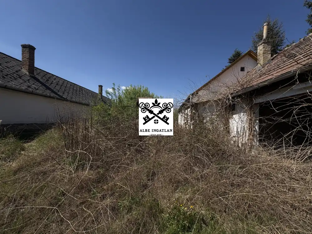 Pest megye - Kóka