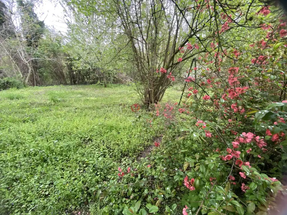 Komárom-Esztergom megye - Komárom