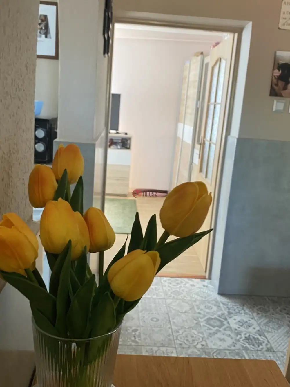 Komárom-Esztergom megye - Komárom