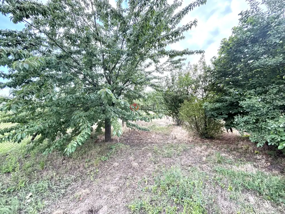 Pest megye - Kosd