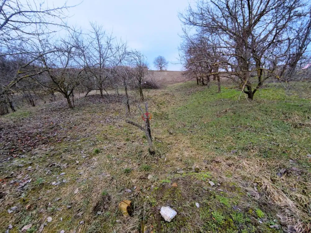 Baranya megye - Lánycsók