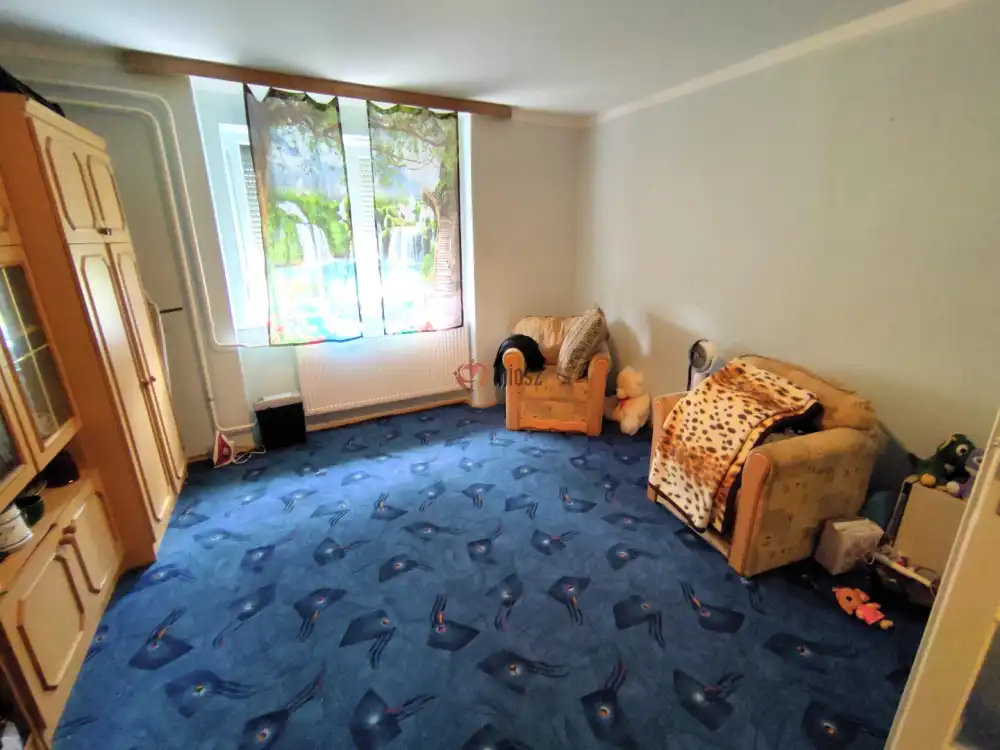 Baranya megye - Mohács