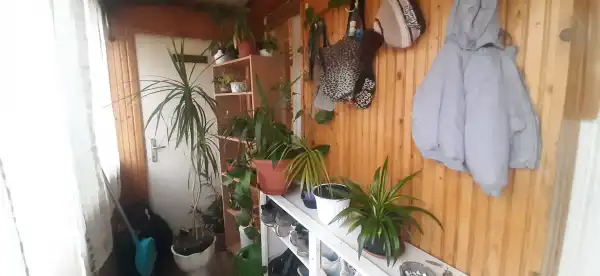 Eladó családi ház, Monok 2 szoba 81 m² 12.9 M Ft
