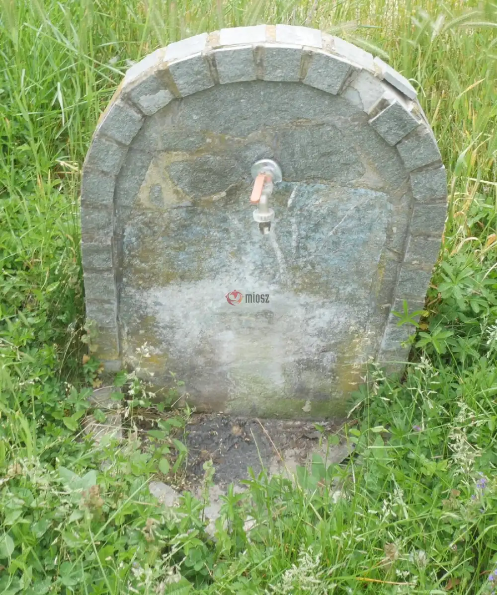 Pest megye - Monorierdő