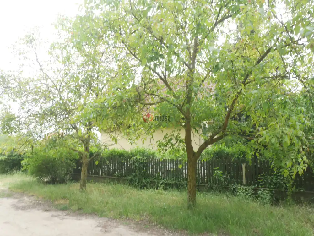 Pest megye - Monorierdő