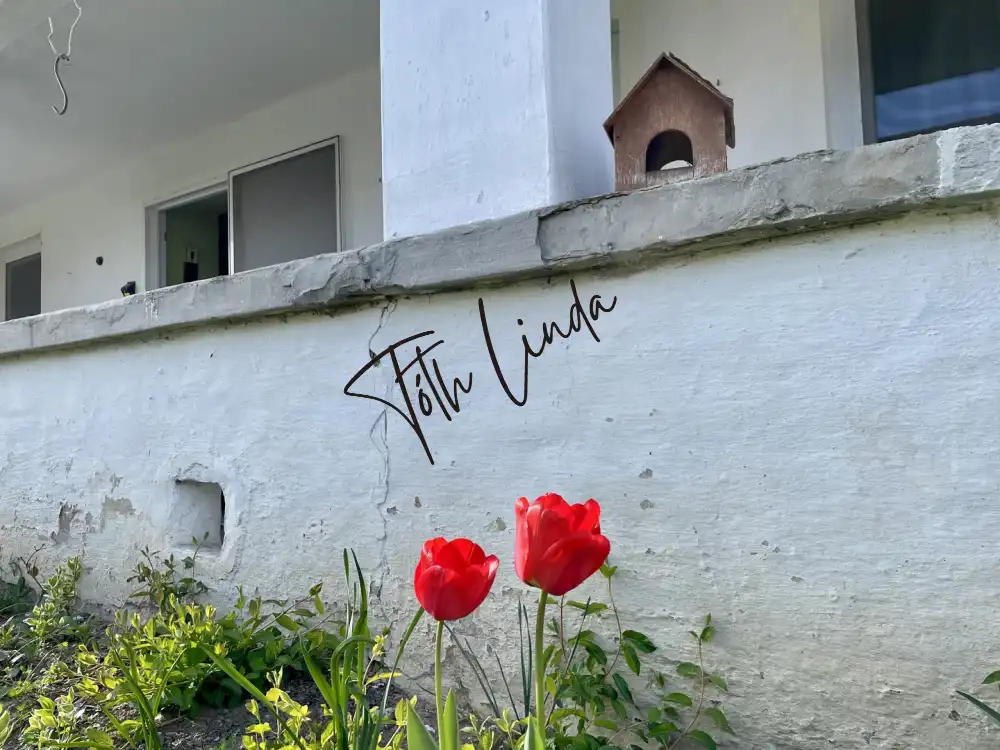 Fejér megye - Mór