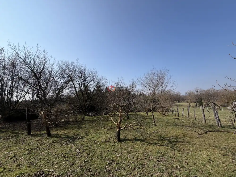 Zala megye - Nagykanizsa-Palin