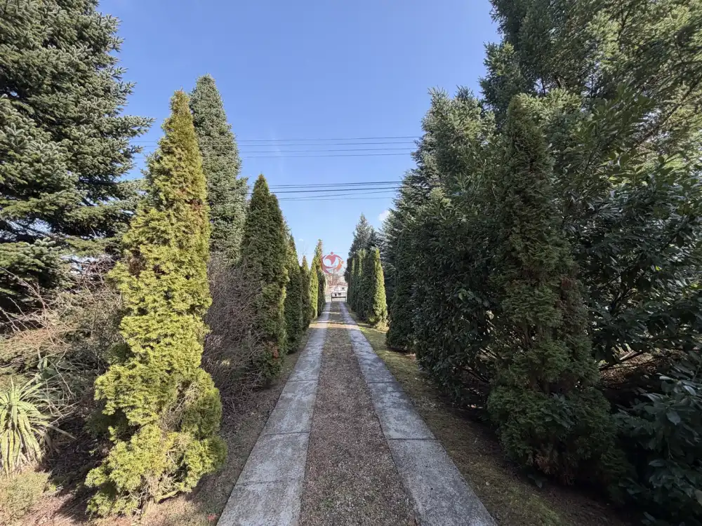 Zala megye - Nagykanizsa-Palin