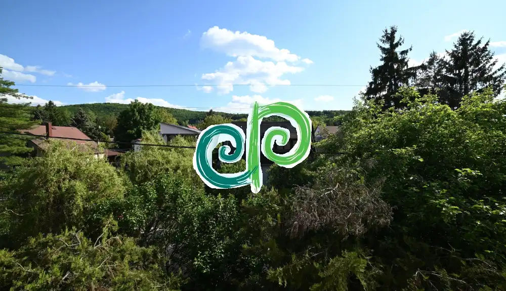 Pest megye - Nagykovácsi