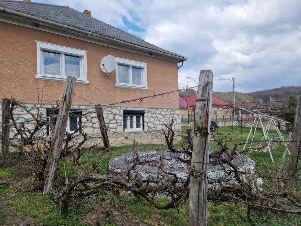 Eladó családi ház, Nagyvisnyó 3 szoba 80 m² 29 M Ft