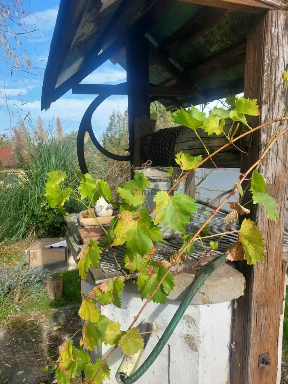 Zala megye - Nemesapáti