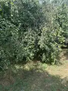 Nógrád megye - Nógrádsáp