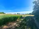 Nógrád megye - Nógrádsáp