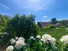 Nógrád megye - Nógrádsáp