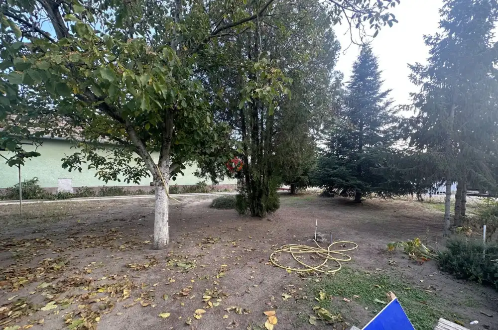 Csongrád megye - Ópusztaszer