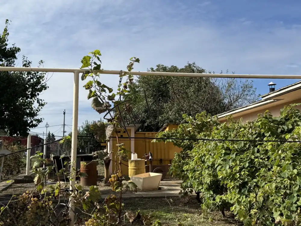 Komárom-Esztergom megye - Oroszlány