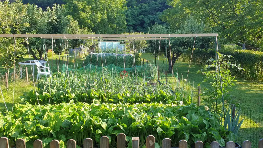 Heves megye - Parád