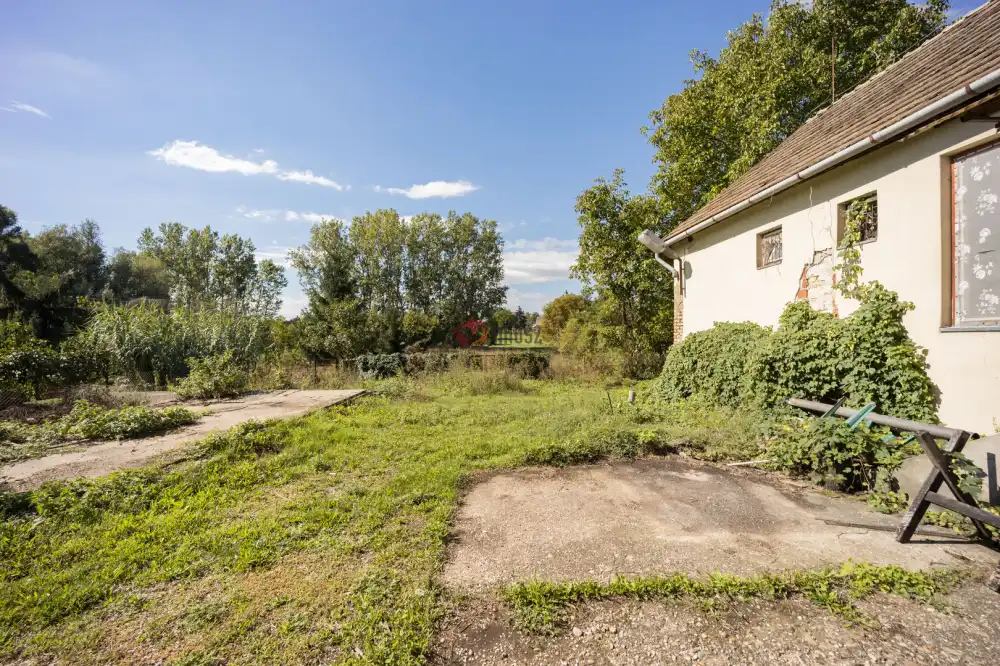 Nógrád megye - Patak