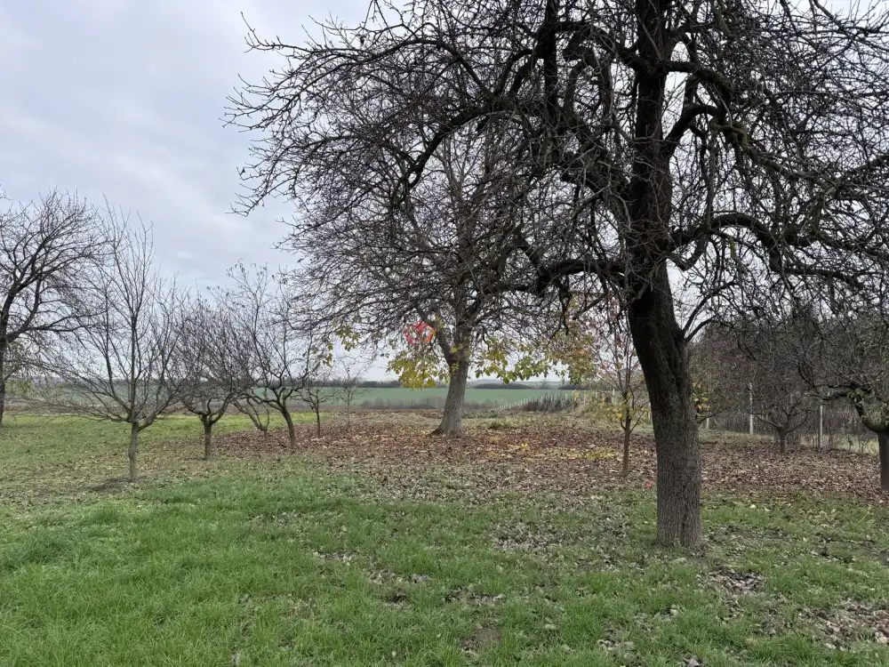 Zala megye - Petrivente