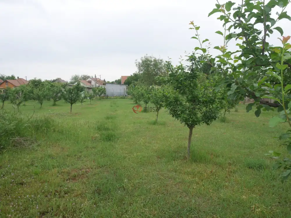 Pest megye - Pilis