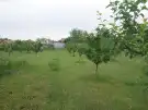 Pest megye - Pilis
