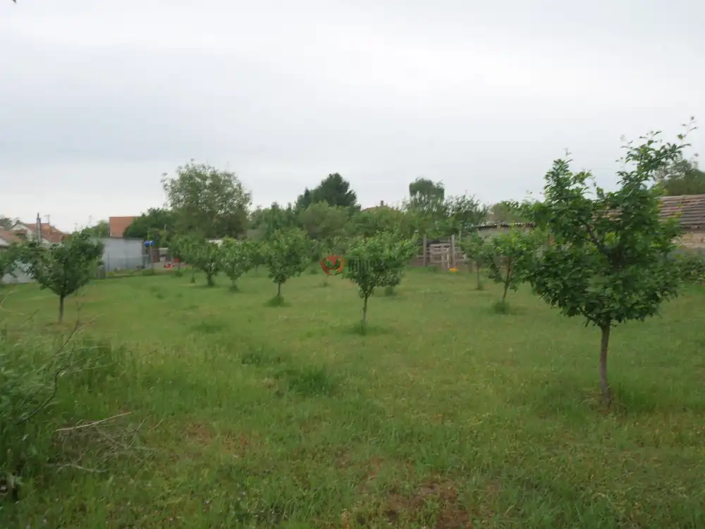 Pest megye - Pilis
