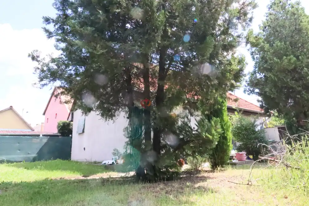 Pest megye - Pilis