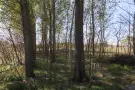 Pest megye - Pilis