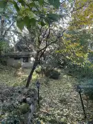 Komárom-Esztergom megye - Piliscsév