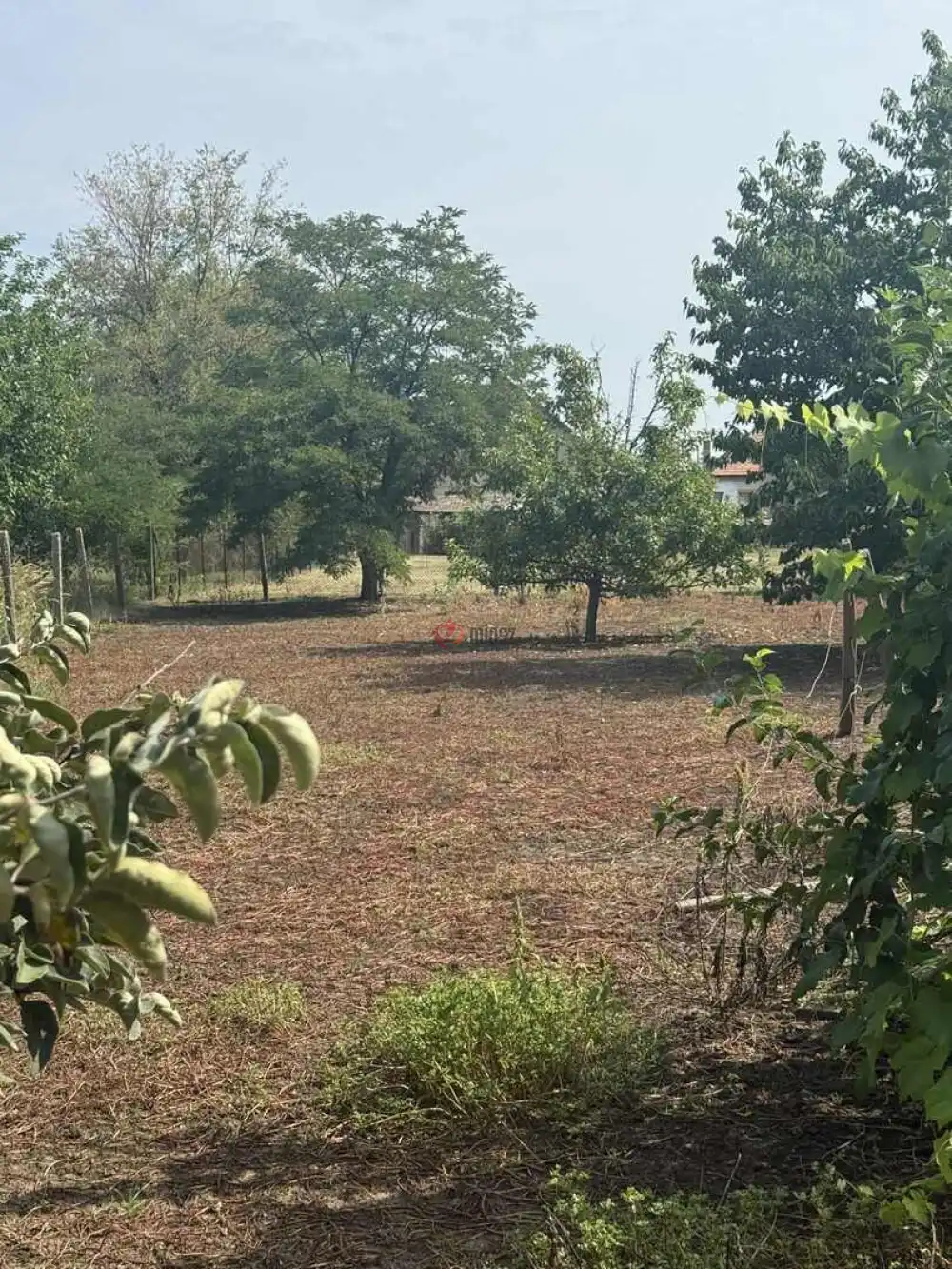 Hajdú-Bihar megye - Püspökladány