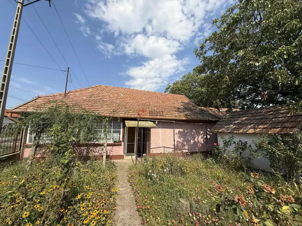 Hajdú-Bihar megye - Püspökladány