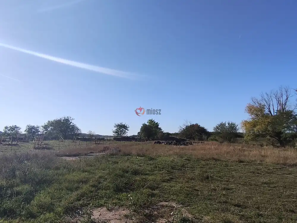 Pest megye - Pusztavacs