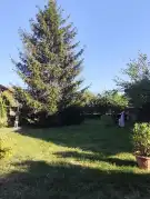 Pest megye - Pusztavacs