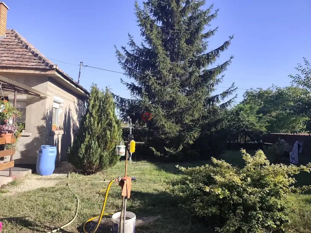 Pest megye - Pusztavacs